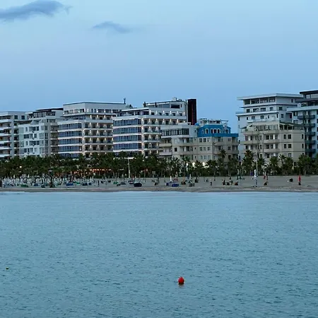 Florida -qerret * غوليم