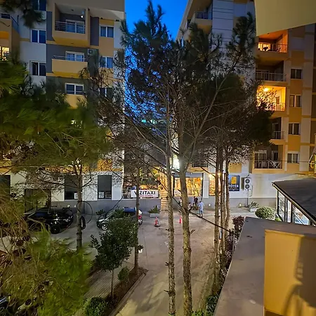 Florida -qerret